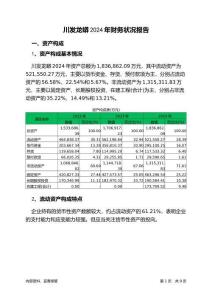 川發(fā)龍蟒2024年財(cái)務(wù)狀況報(bào)告