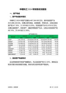 中糧科工2024年財務(wù)狀況報告