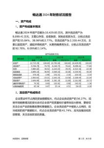 暢達(dá)通2024年財(cái)務(wù)狀況報(bào)告