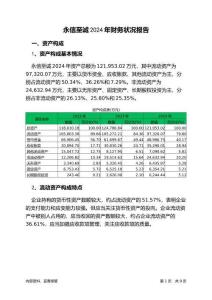 永信至誠2024年財(cái)務(wù)狀況報(bào)告