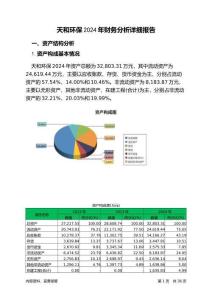 天和環保2024年財務分析詳細報告