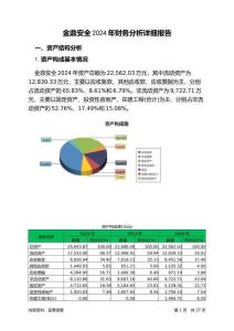 金鼎安全2024年財(cái)務(wù)分析詳細(xì)報(bào)告