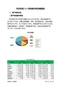 華爾科技2024年財務分析詳細報告