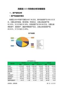 尚視覺2024年財務分析詳細報告