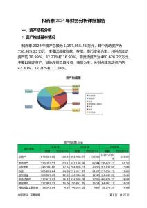 和而泰2024年財(cái)務(wù)分析詳細(xì)報(bào)告