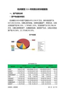 杭州解百2024年財(cái)務(wù)分析詳細(xì)報(bào)告