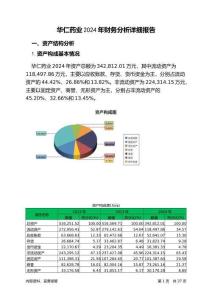 華仁藥業(yè)2024年財(cái)務(wù)分析詳細(xì)報(bào)告