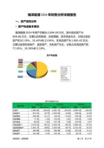 瑞澤能源2024年財(cái)務(wù)分析詳細(xì)報(bào)告