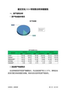 星漢文化2024年財務(wù)分析詳細(xì)報告