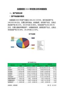 絲路視覺2024年財務分析詳細報告
