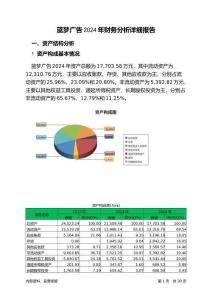 藍(lán)夢(mèng)廣告2024年財(cái)務(wù)分析詳細(xì)報(bào)告