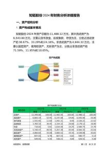 知韜股份2024年財務分析詳細報告