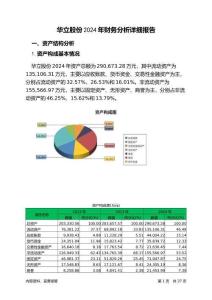 華立股份2024年財(cái)務(wù)分析詳細(xì)報(bào)告