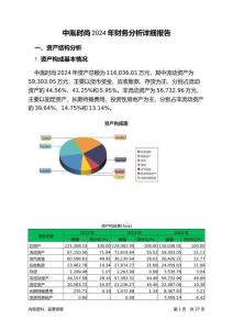 中胤時(shí)尚2024年財(cái)務(wù)分析詳細(xì)報(bào)告