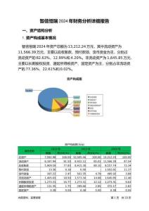智信恒瑞2024年財務分析詳細報告