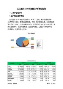 天馬國藥2024年財務分析詳細報告