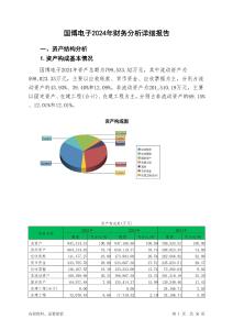 國(guó)博電子2024年財(cái)務(wù)分析詳細(xì)報(bào)告