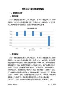 一品紅2024年經(jīng)營成果報告