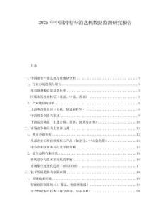 2025年中國(guó)滑行車游藝機(jī)數(shù)據(jù)監(jiān)測(cè)研究報(bào)告