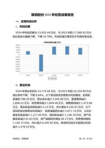 雄韜股份2024年經(jīng)營(yíng)成果報(bào)告