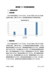 薪澤奇2024年經(jīng)營(yíng)成果報(bào)告