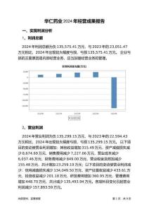 華仁藥業(yè)2024年經(jīng)營成果報告
