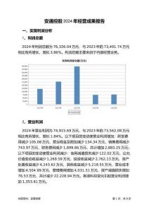 安通控股2024年經(jīng)營成果報(bào)告