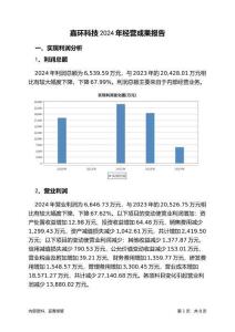嘉環科技2024年經營成果報告