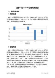 藍(lán)夢(mèng)廣告2024年經(jīng)營(yíng)成果報(bào)告