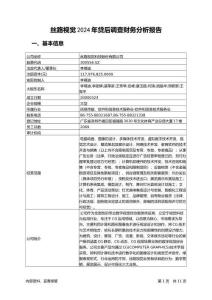 絲路視覺2024年貸后調查財務分析報告