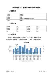泰通科技2024年貸后調(diào)查財(cái)務(wù)分析報(bào)告