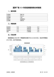 藍(lán)夢(mèng)廣告2024年貸后調(diào)查財(cái)務(wù)分析報(bào)告