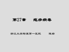 第27章 皰疹病毒