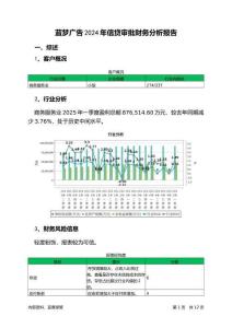 藍(lán)夢(mèng)廣告2024年信貸審批財(cái)務(wù)分析報(bào)告