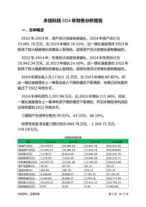 永信科技2024年財務(wù)分析報告-銀行版