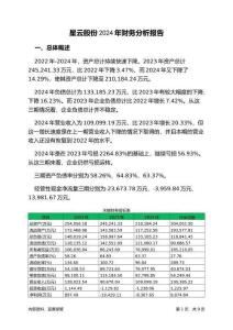 星云股份2024年財(cái)務(wù)分析報(bào)告-銀行版