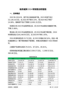 裕豐威禾2024年財務(wù)分析報告-銀行版