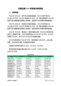 漢典生物2024年財(cái)務(wù)分析報(bào)告-銀行版