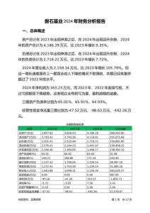 磐石基業(yè)2024年財(cái)務(wù)分析報(bào)告-銀行版