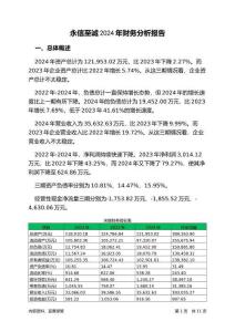 永信至誠(chéng)2024年財(cái)務(wù)分析報(bào)告-銀行版