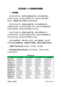 萬(wàn)正科技2024年財(cái)務(wù)分析報(bào)告-銀行版