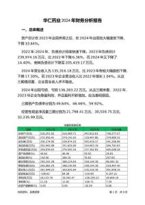 華仁藥業(yè)2024年財務(wù)分析報告-銀行版