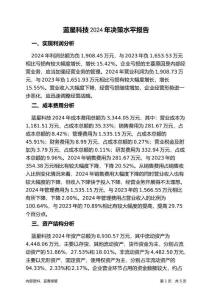 藍(lán)星科技2024年決策水平分析報告