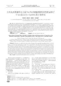 左歸丸對陰虛陽亢大鼠Th1_Th2細(xì)胞漂移_省略__bet及GATA_3 mRN.kdh