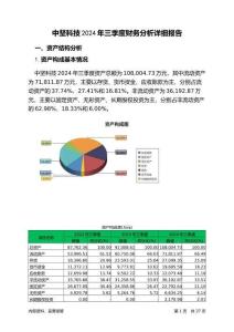 中堅科技2024年三季度財務分析詳細報告