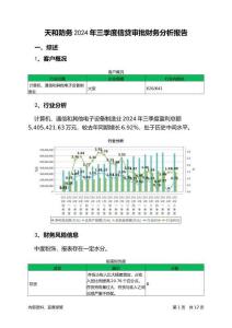 天和防務2024年三季度信貸審批財務分析報告