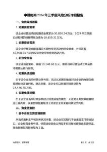 中胤時尚2024年三季度財務(wù)風(fēng)險分析詳細(xì)報告