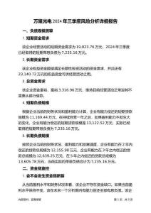 萬隆光電2024年三季度財務風險分析詳細報告