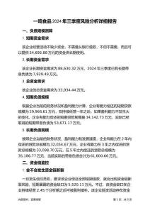 一鳴食品2024年三季度財(cái)務(wù)風(fēng)險(xiǎn)分析詳細(xì)報(bào)告