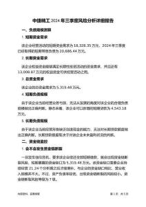 中捷精工2024年三季度財務風險分析詳細報告